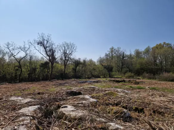 Land In Poreč, Croatia (2.768 M²)