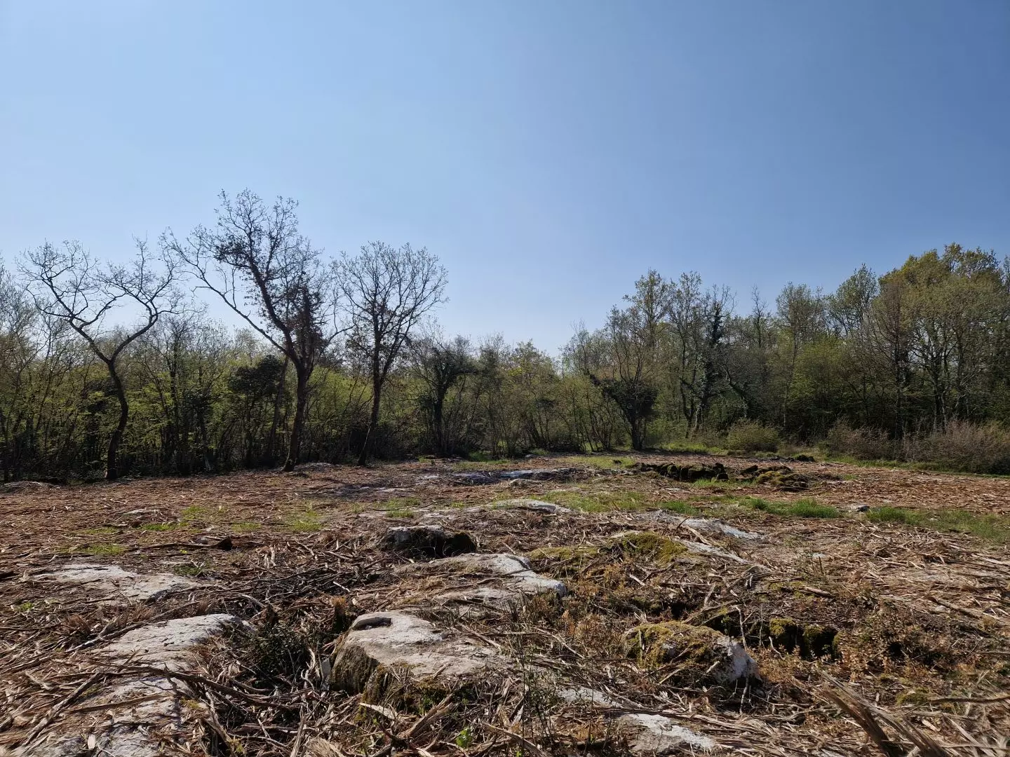 original_1744380302_istra-porec-kompleks-zemljista-zadnji-u-zoni-gradnje-5-ad0c80 Land In Poreč, Croatia (2.768 M²)