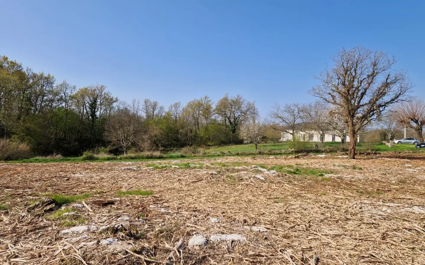 Land In Poreč, Croatia (2.768 M²)