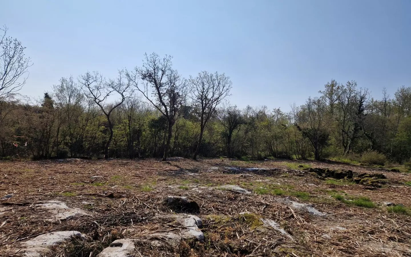 Land In Poreč, Croatia (2.768 M²)