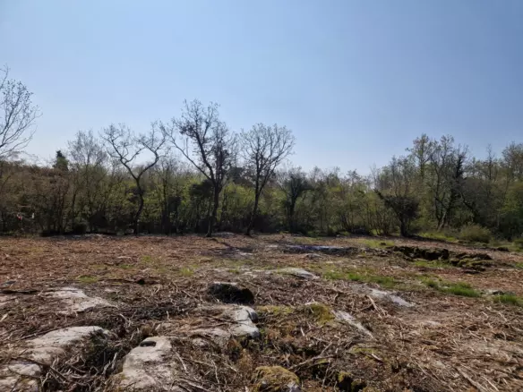 Land In Poreč, Croatia (2.768 M²)