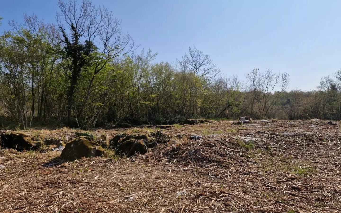 Land In Poreč, Croatia (2.768 M²)