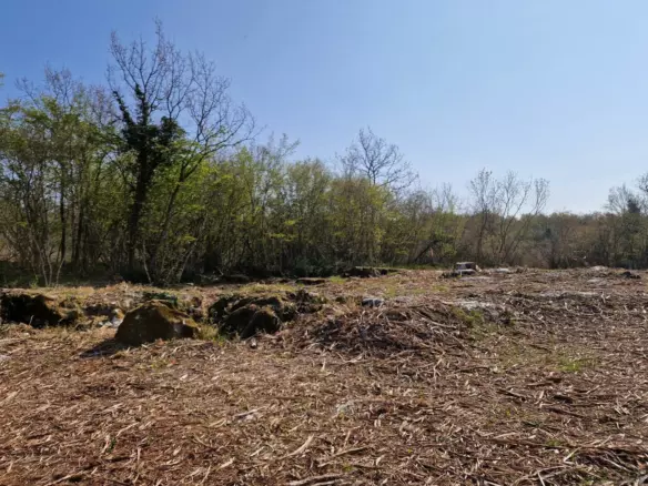 Land In Poreč, Croatia (2.768 M²)