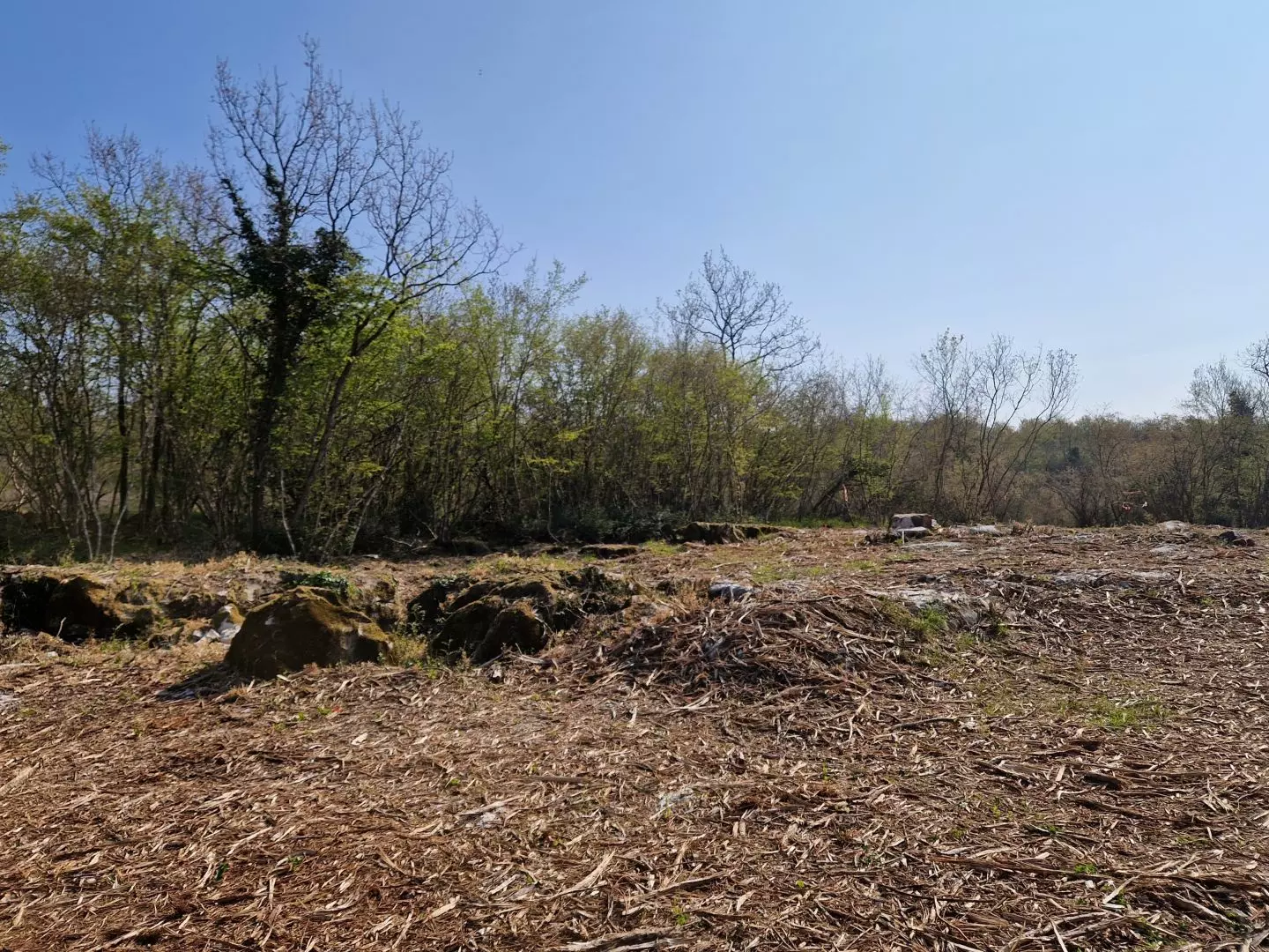 original_1744380323_istra-porec-kompleks-zemljista-zadnji-u-zoni-gradnje-9-839d69 Land In Poreč, Croatia (2.768 M²)