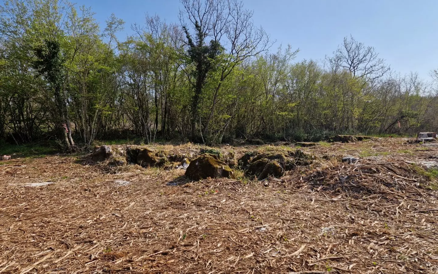 Land In Poreč, Croatia (2.768 M²)