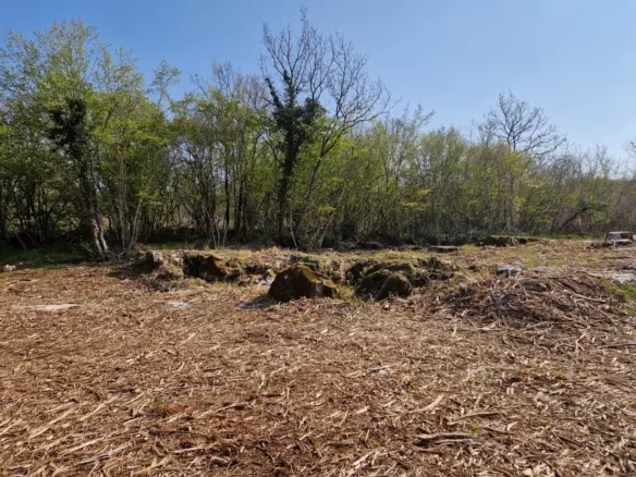 Land In Poreč, Croatia (2.768 M²)