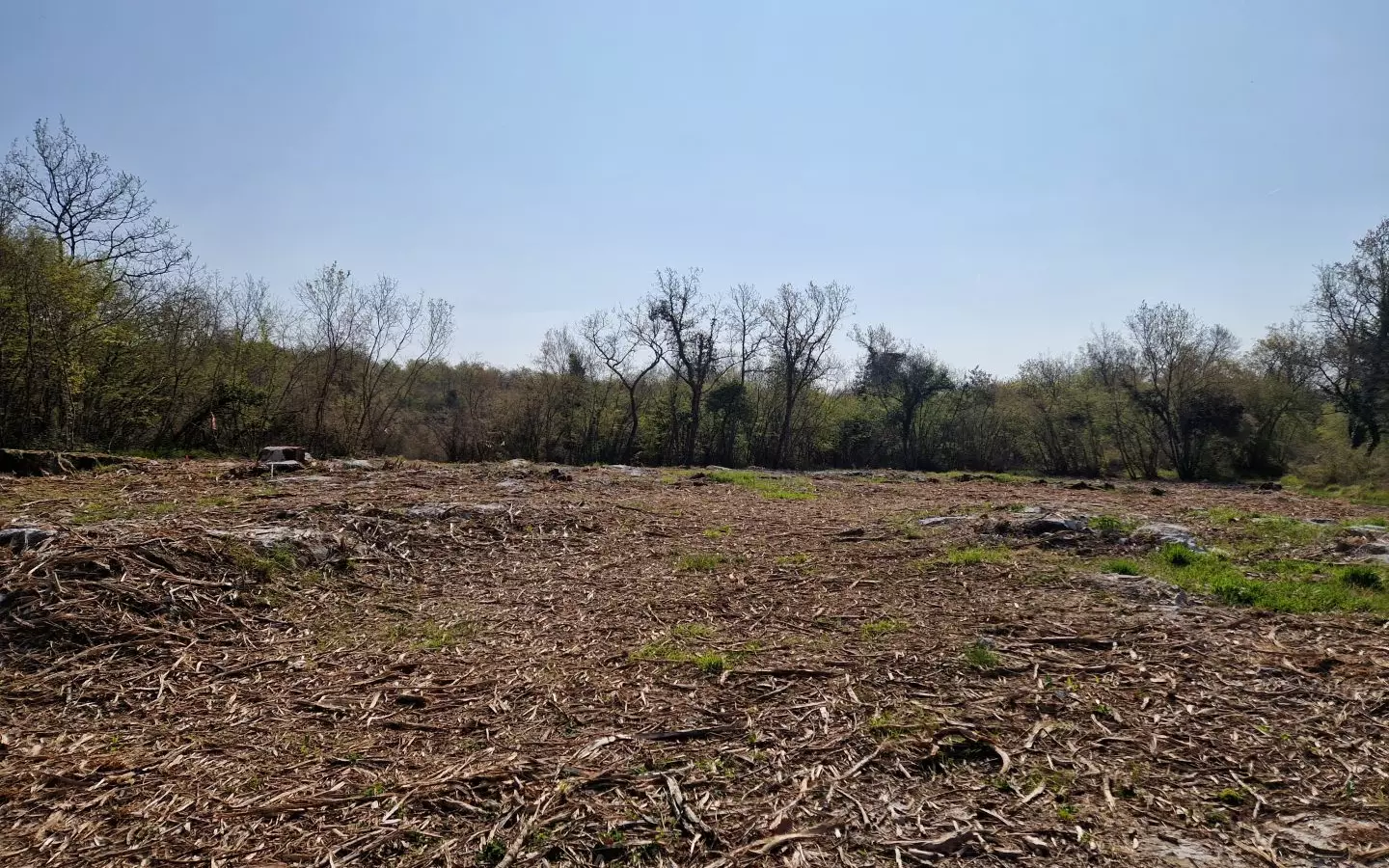 Land In Poreč, Croatia (2.768 M²)
