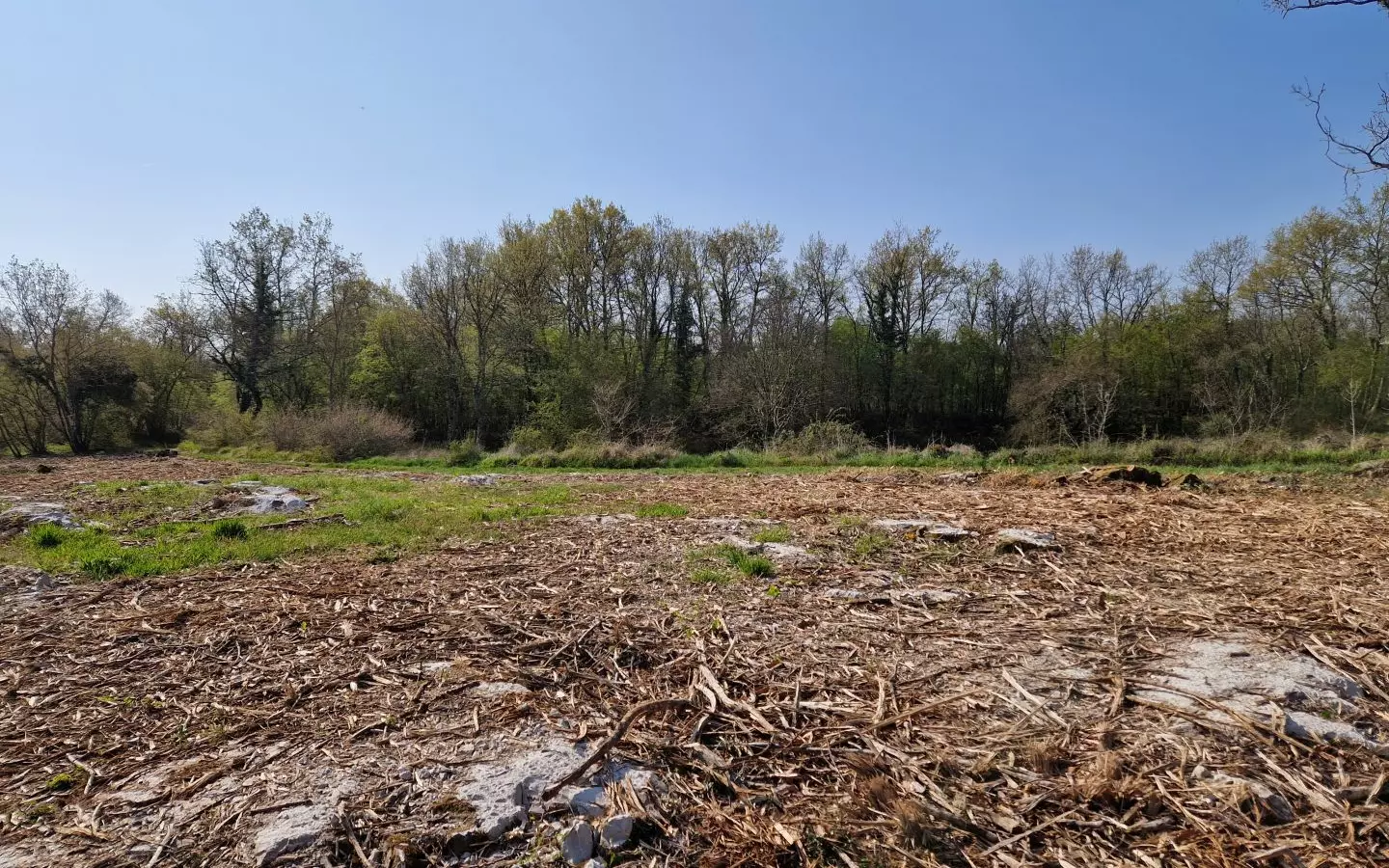 Land In Poreč, Croatia (2.768 M²)