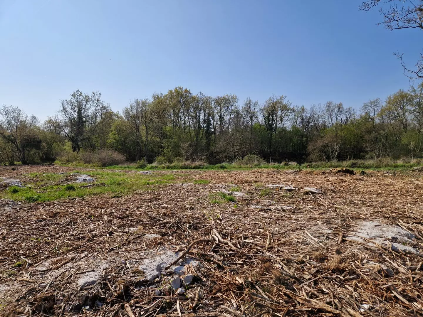 original_1744380339_istra-porec-kompleks-zemljista-zadnji-u-zoni-gradnje-12-a08143 Land In Poreč, Croatia (2.768 M²)