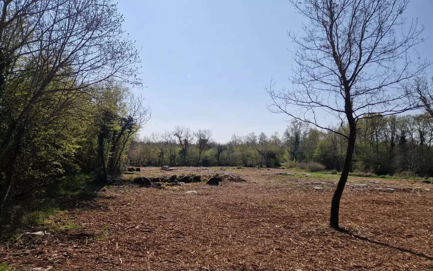 Land In Poreč, Croatia (2.768 M²)