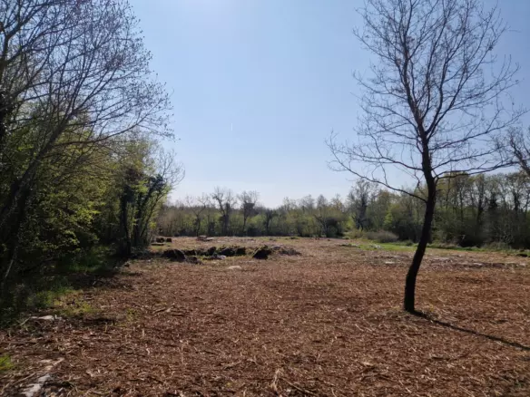 Land In Poreč, Croatia (2.768 M²)