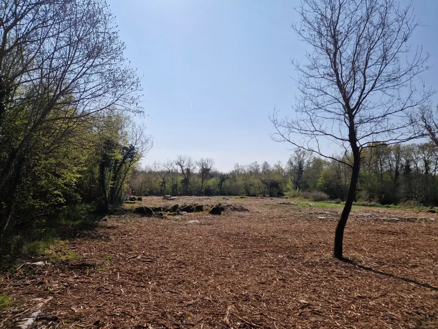 original_1744380350_istra-porec-kompleks-zemljista-zadnji-u-zoni-gradnje-13-39f036 Land In Poreč, Croatia (2.768 M²)