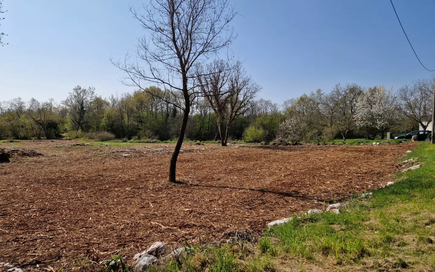 Land In Poreč, Croatia (2.768 M²)