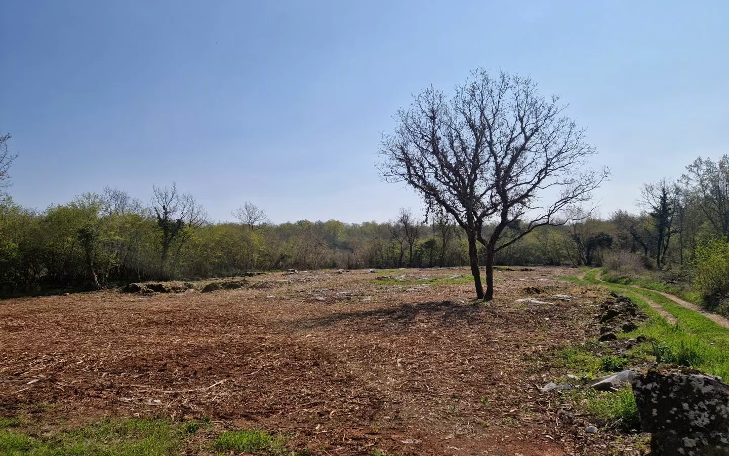 Land In Poreč, Croatia (2.768 M²)