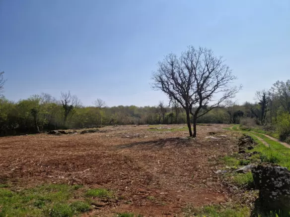 Land In Poreč, Croatia (2.768 M²)