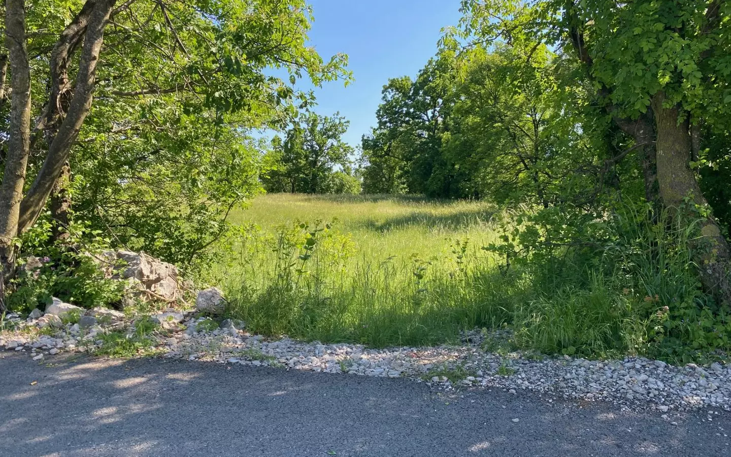Land In Cernik, Croatia (4.210 M²)