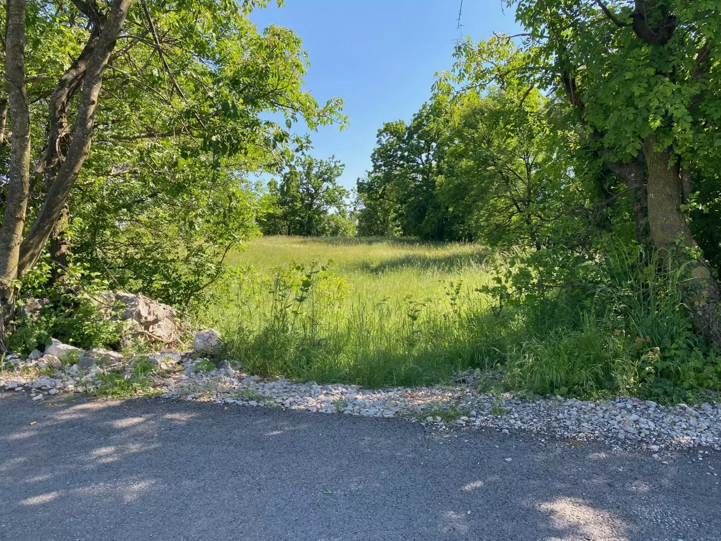 Land In Cernik, Croatia (4.210 M²)