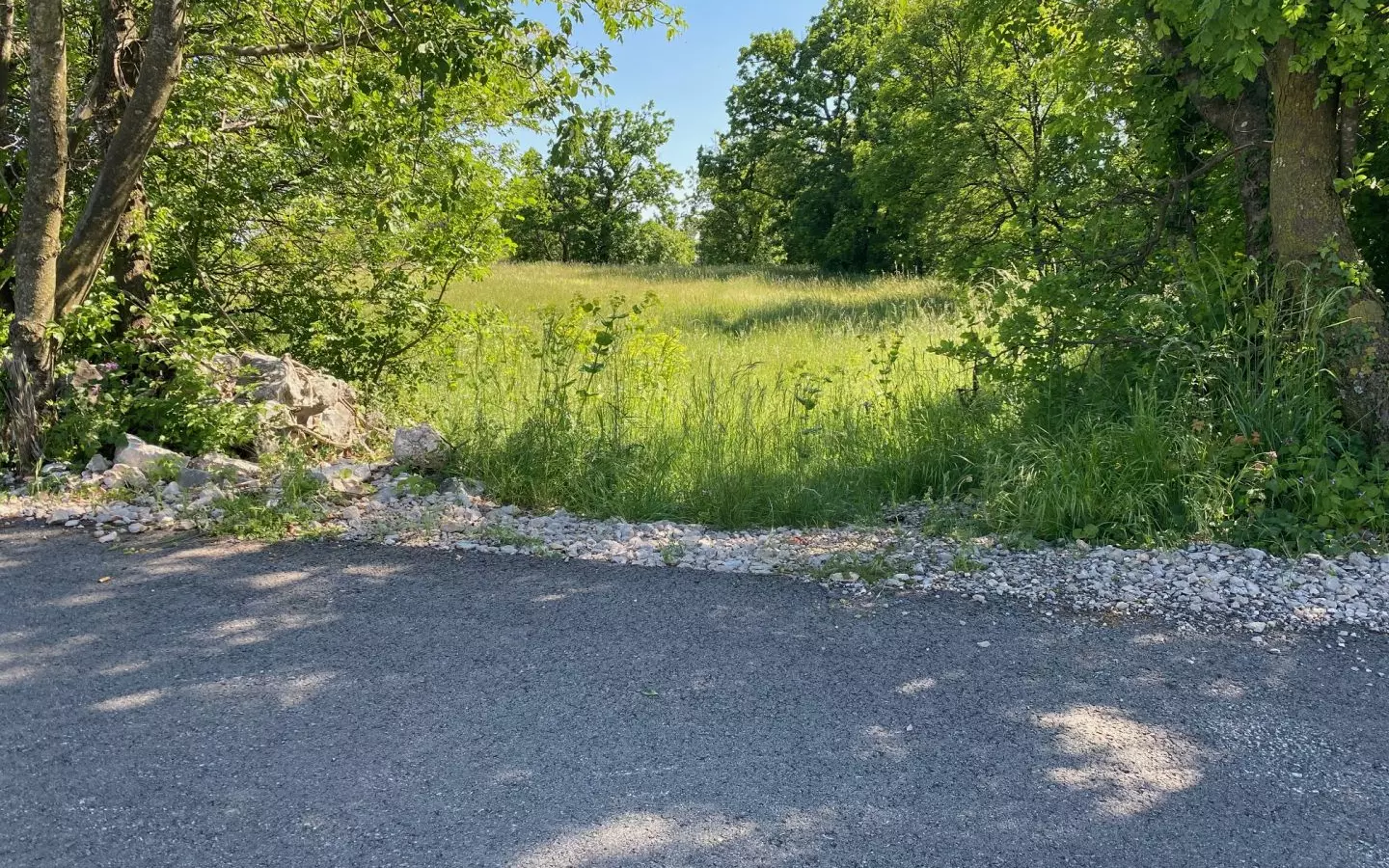 Land In Cernik, Croatia (4.210 M²)