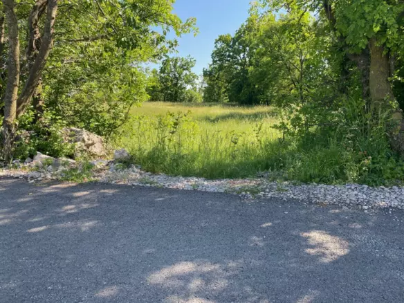 Land In Cernik, Croatia (4.210 M²)