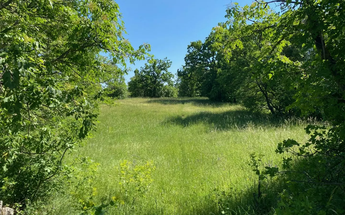 Land In Cernik, Croatia (4.210 M²)