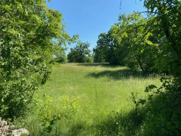 Land In Cernik, Croatia (4.210 M²)