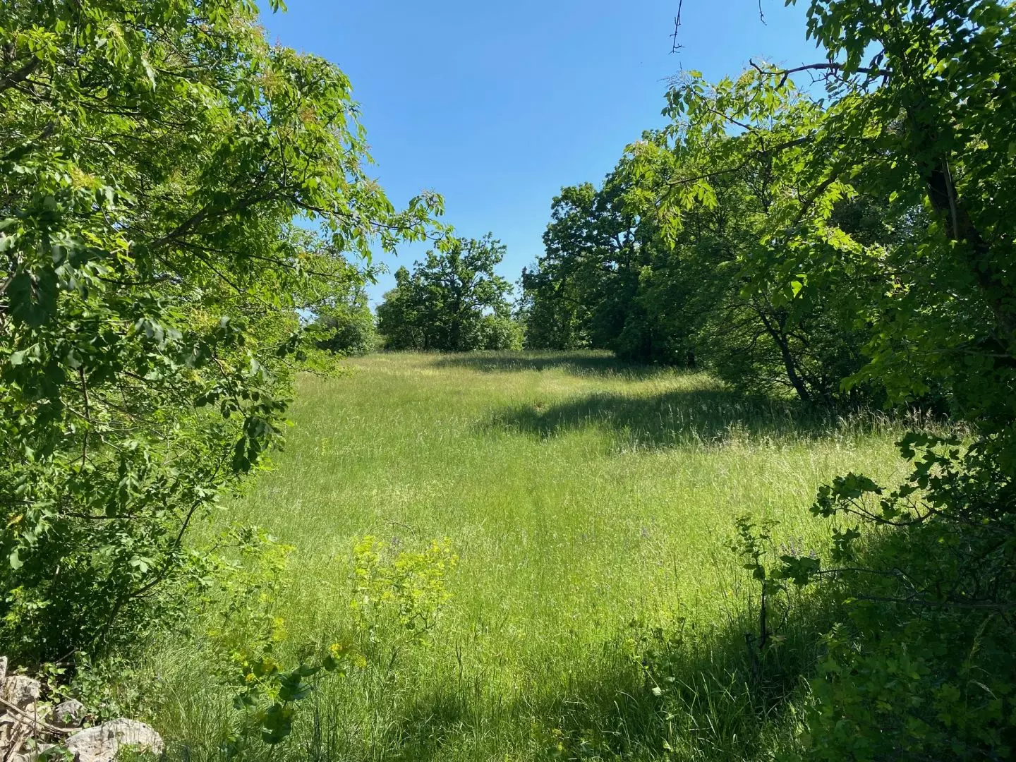 Land In Cernik, Croatia (4.210 M²)