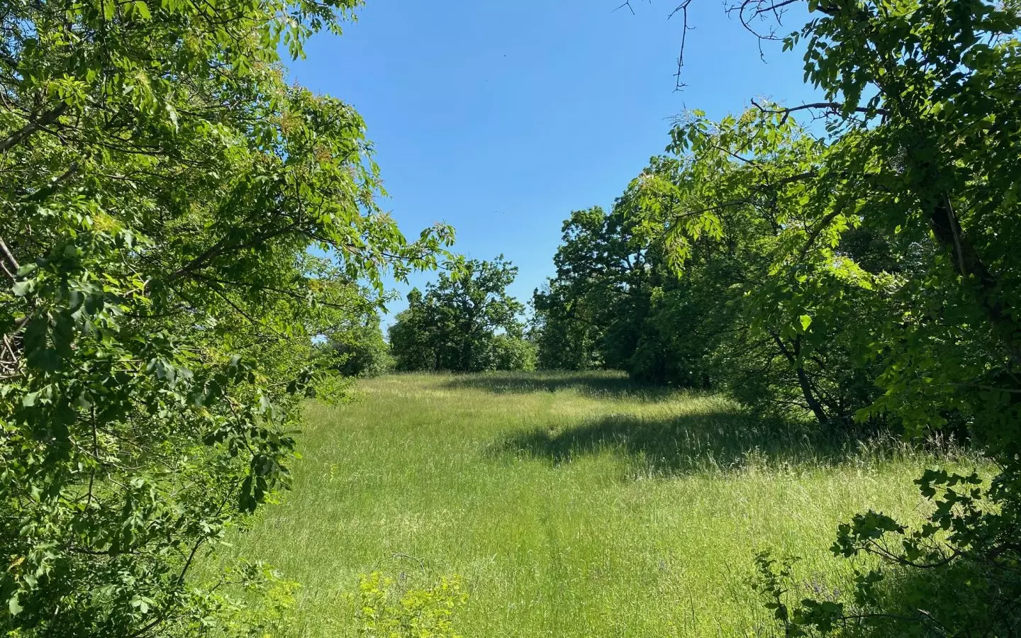Land In Cernik, Croatia (4.210 M²)