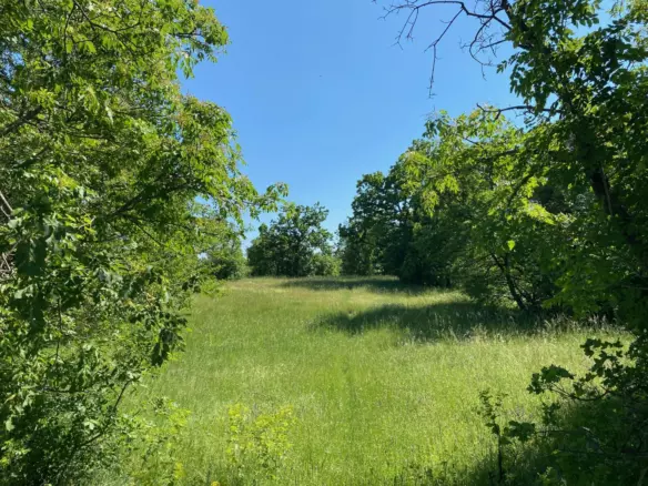 Land In Cernik, Croatia (4.210 M²)