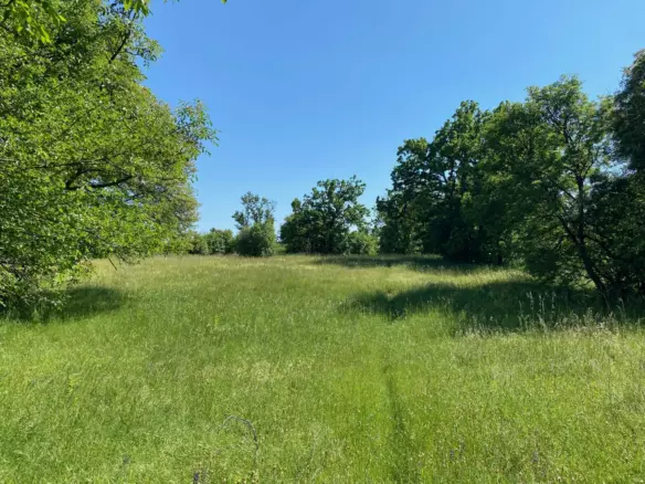 Land In Cernik, Croatia (4.210 M²)