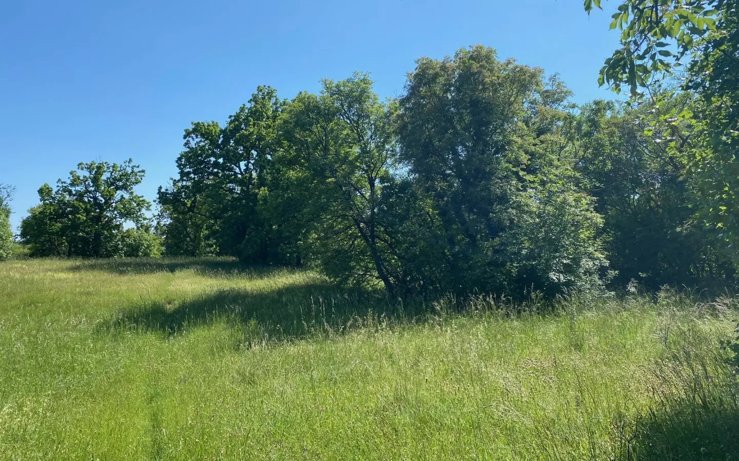 Land In Cernik, Croatia (4.210 M²)