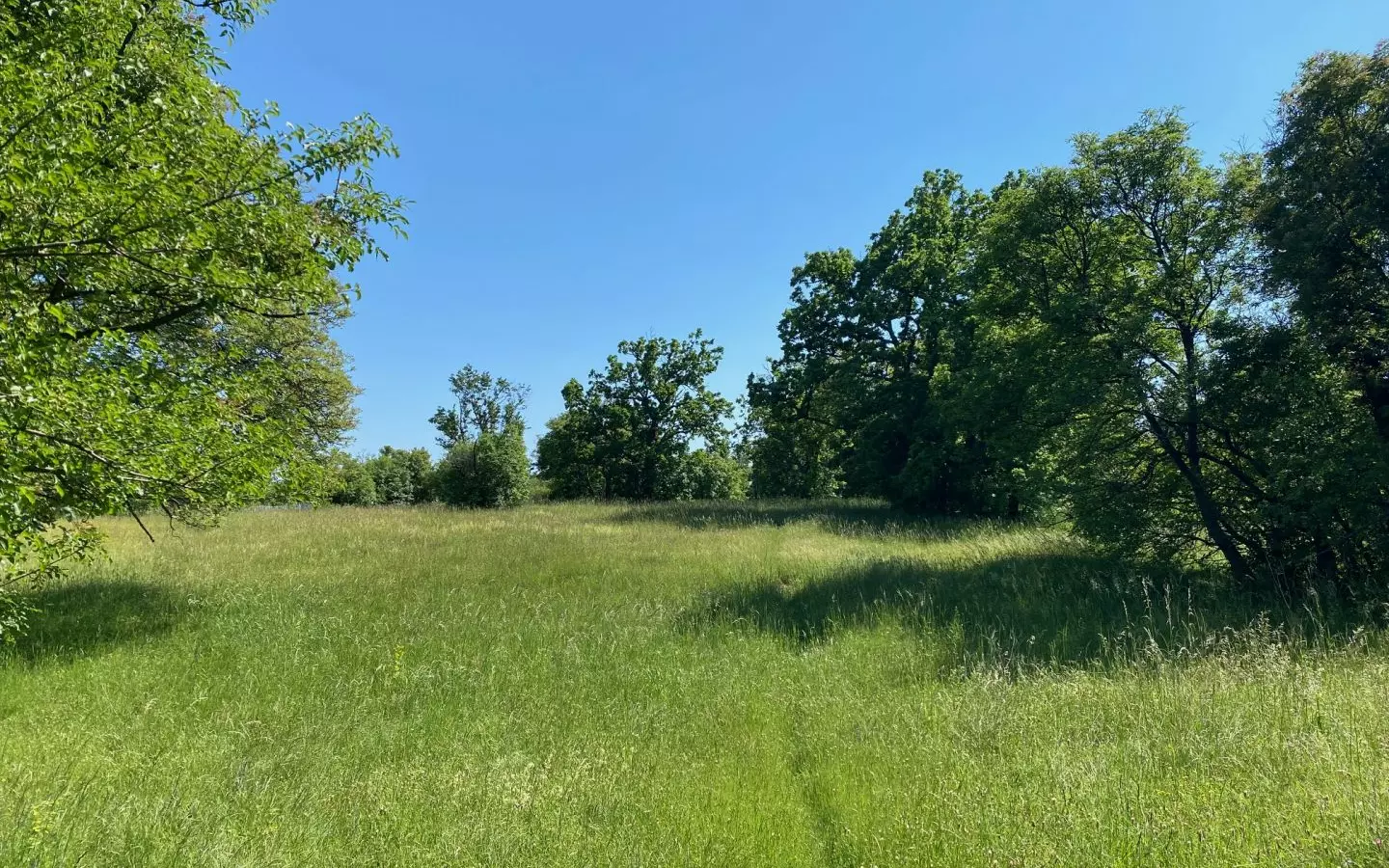 Land In Cernik, Croatia (4.210 M²)