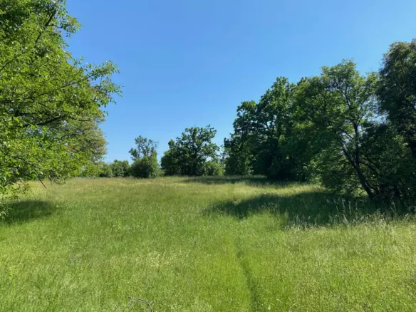 Land In Cernik, Croatia (4.210 M²)