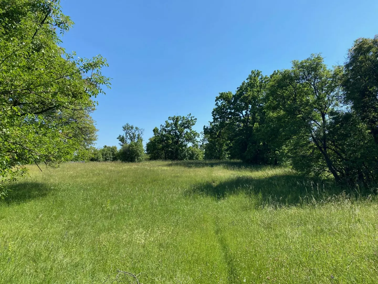 Land In Cernik, Croatia (4.210 M²)