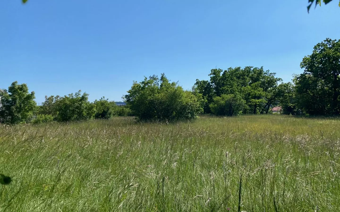 Land In Cernik, Croatia (4.210 M²)