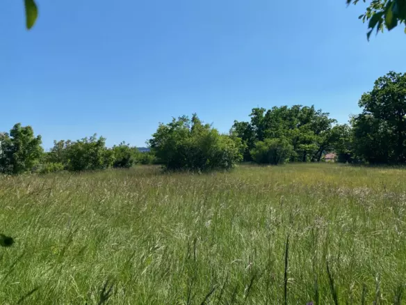 Land In Cernik, Croatia (4.210 M²)
