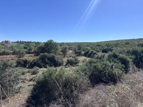 Land In Donje Raštane, Croatia (1.334 M²)