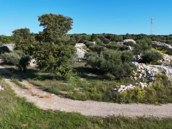 Land In Krk, Croatia (719 M²)