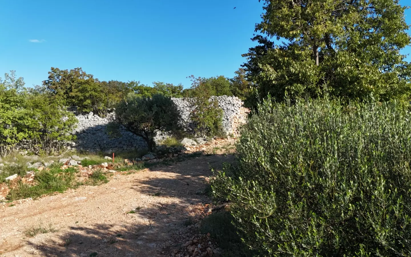 Land In Krk, Croatia (719 M²)