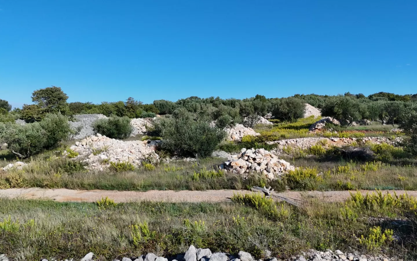 Land In Krk, Croatia (649 M²)