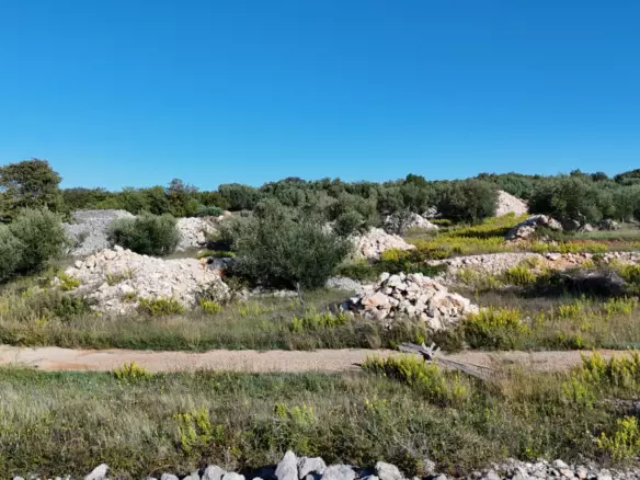 Land In Krk, Croatia (649 M²)