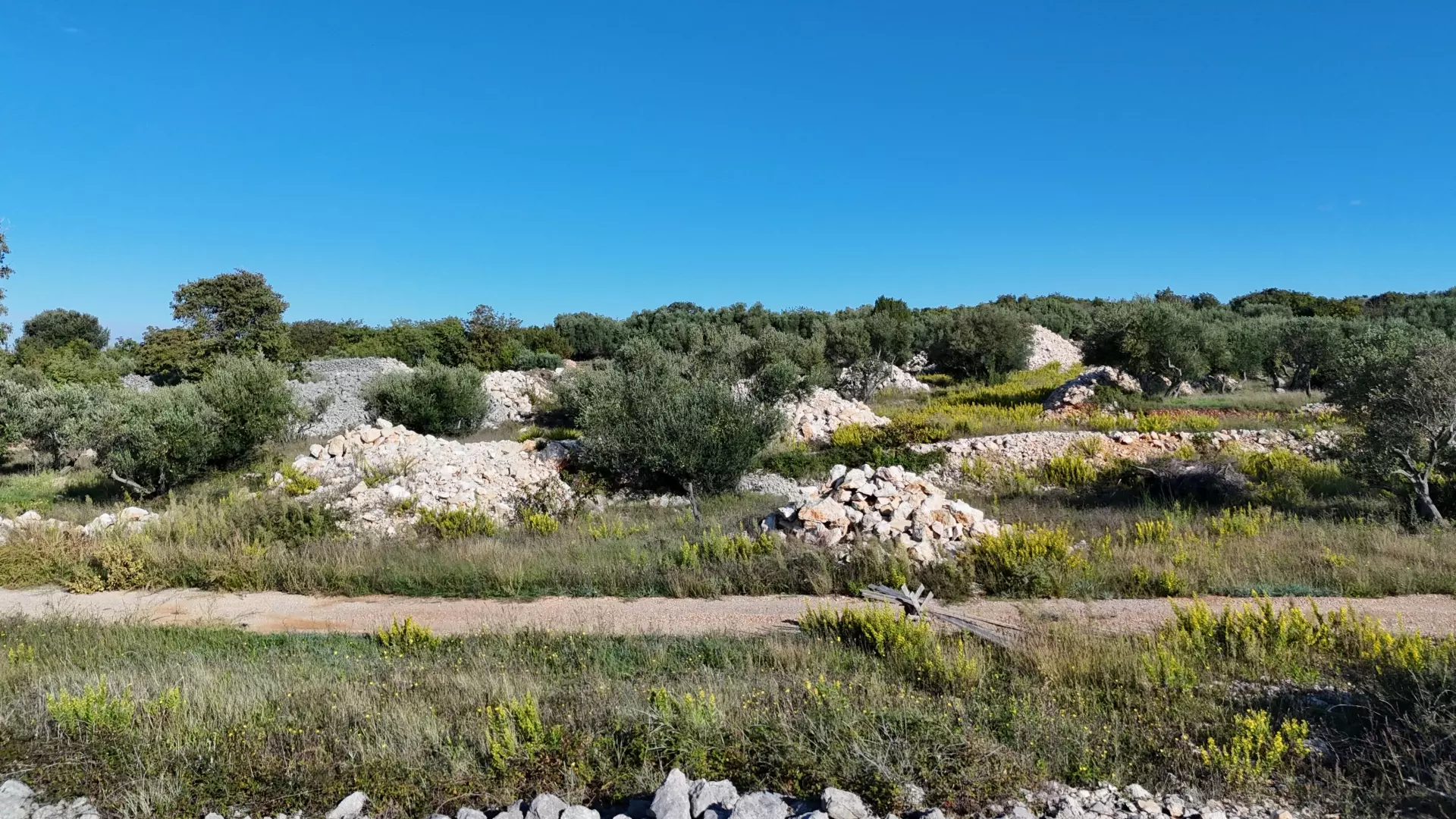 Land In Krk, Croatia (649 M²)
