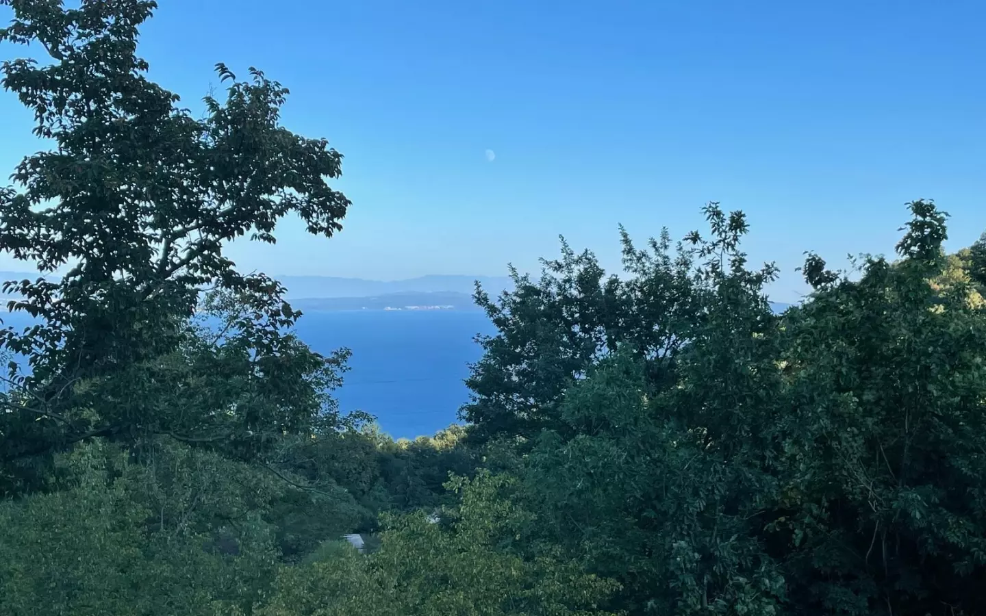 Land In Veprinac, Croatia (8.321 M²)