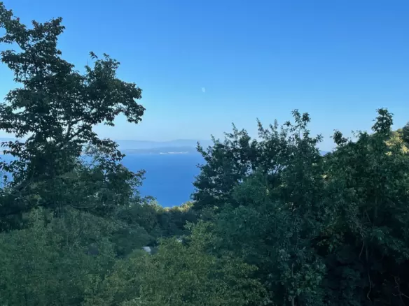 Land In Veprinac, Croatia (8.321 M²)