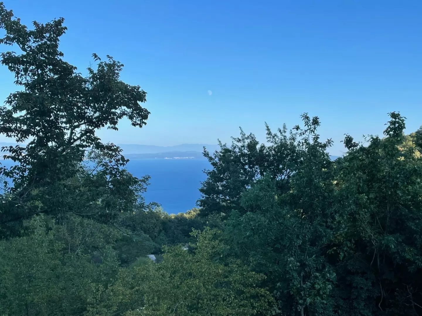 original_1764762232_whatsapp-slika-2025-12-02-u-12-29abf0 Land In Veprinac, Croatia (8.321 M²)