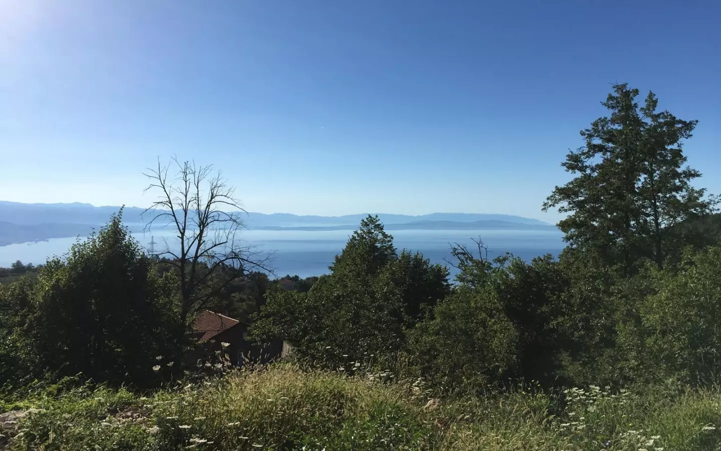 Land In Veprinac, Croatia (8.321 M²)