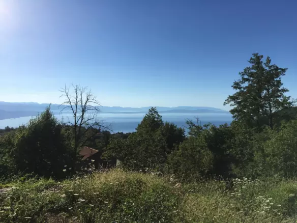Land In Veprinac, Croatia (8.321 M²)