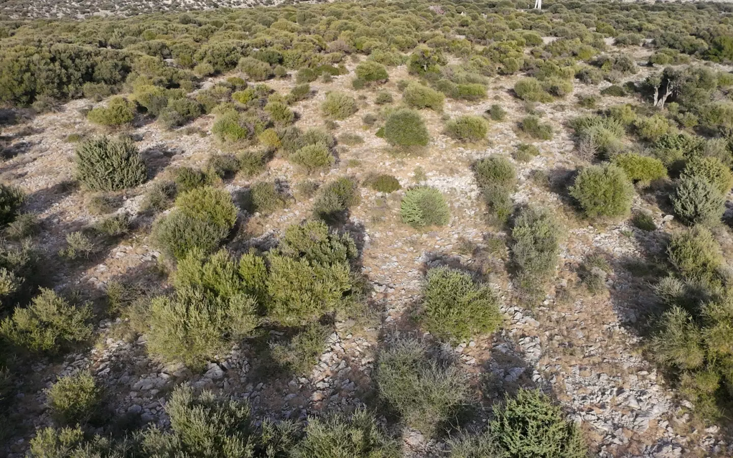 Land In Lun, Croatia (1.908 M²)