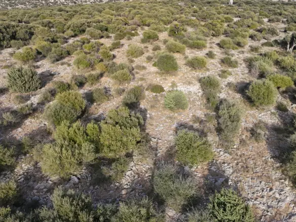 Land In Lun, Croatia (1.908 M²)