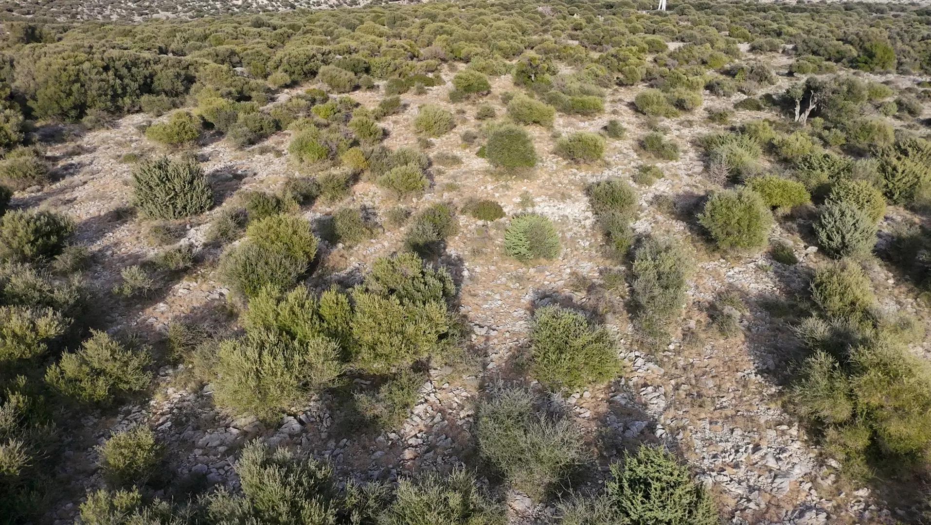 Land In Lun, Croatia (1.908 M²)