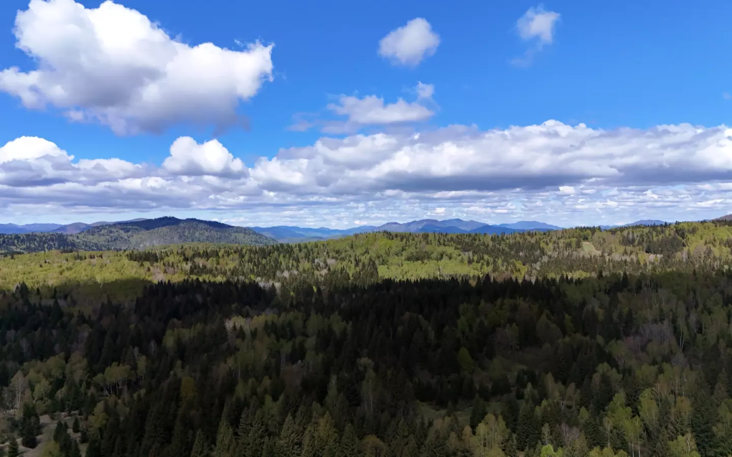 Land In Hlevci, Croatia (1.000 M²)